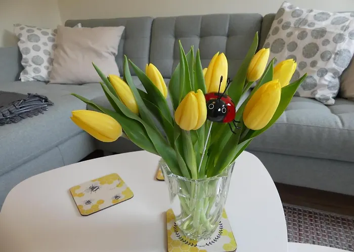 Ferienwohnung Suenteltraum